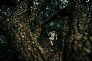 BIB: 
                            <button type="button" onclick="openModal(25679252)" class="btn btn-primary btn-sm float-right btn-popup" data-toggle="modal" data-target=".modal-high-quality">
                        <i class="fas fa-shopping-cart"></i> Add to Cart
                    </button>
                                            <button type="button" onclick="isThisMe(25679252, true)" class="btn btn-success btn-sm float-right btn-popup btn-isme hidden" data-toggle="tooltip" data-placement="bottom" title="นี่คือรูปของคุณใช่ไหม คลิกที่นี่เพื่อเอาเข้าอัลบั้ม">
                        <i class="fas fa-plus"></i> Add to album
                    </button>
                    <button type="button" onclick="isThisMe(25679252, false)" class="btn btn-warning btn-sm float-right btn-popup btn-isnotme hidden">
                        <i class="fas fa-ban"></i> Remove from album
                    </button>